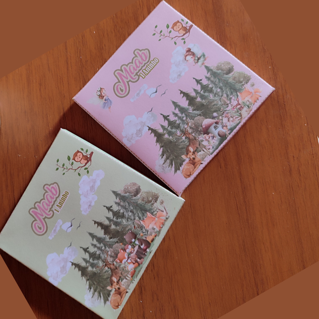 ARQUIVO DIGITAL molde caixa de lapis de cor pequeno 12 cores