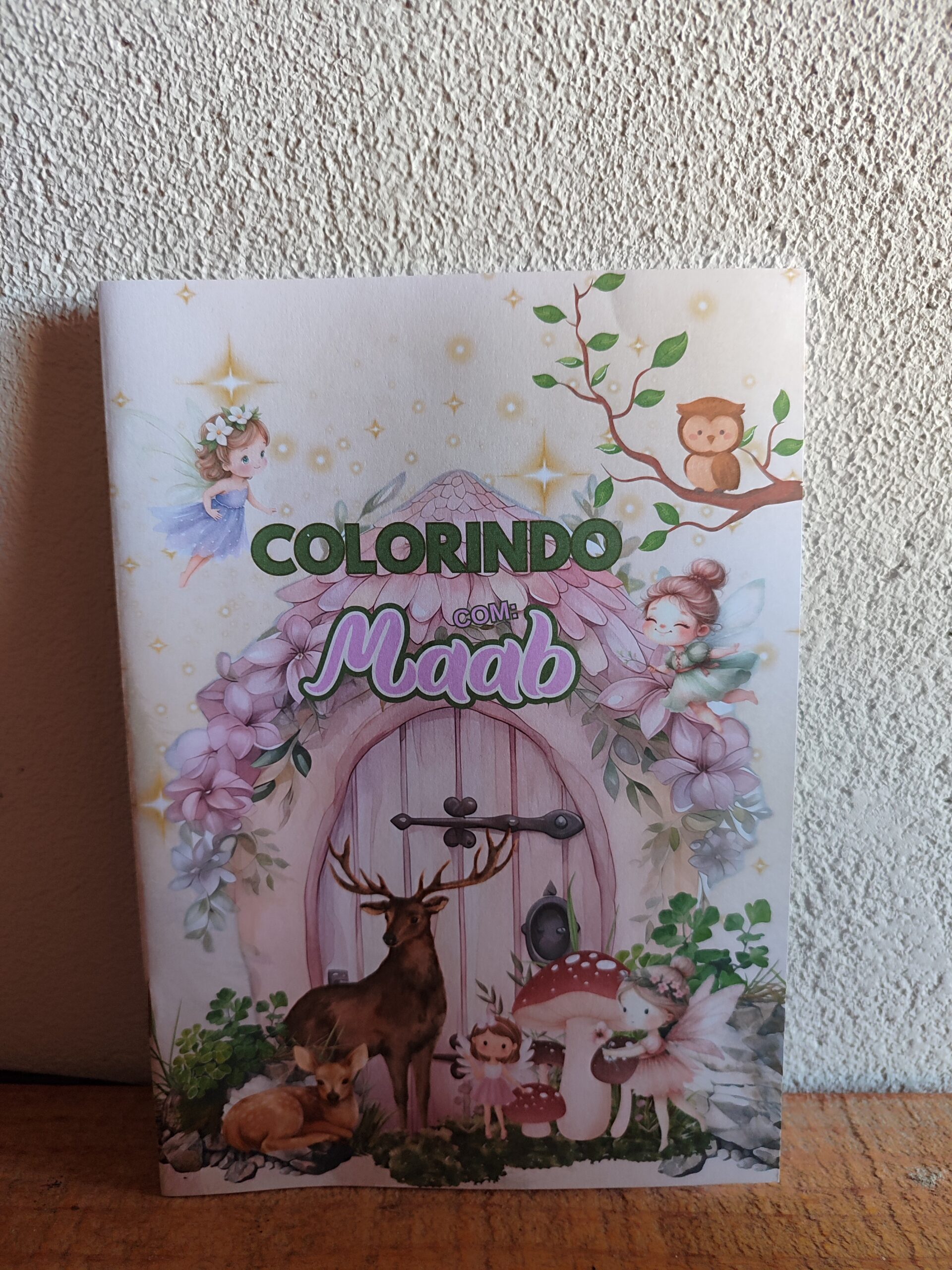 ARQUIVO DIGITAL livrinho de Colorir Bosque das Fadas